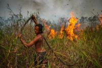 Indonesia accepts Malaysian, Singapore help as fires burn nearly 2m hectares