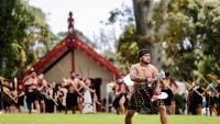 Waitangi could become New Zealand's first cultural-only World Heritage site