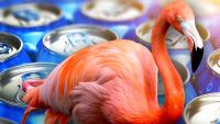 Las Vegas Tourist Admits He Drank An Unholy Number Of Beers Before Stealing Live Flamingo From A Casino