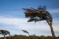 Weather: Brace for damaging winds and high fire danger