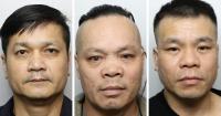 3 men who worked as 'gardeners' at £3.7 million cannabis farm jailed