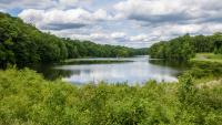 Connecticut's Verdant Refuge Is A Leafy New England Escape With Forest Trails And Wildlife‑filled Serenity