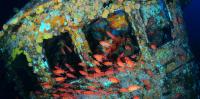 Shipwrecks can become thriving reefs, but may contain hidden toxic time bombs