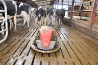 UK government launches ‘robot revolution’ to ease labor shortage on farms
