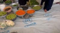 Herat woman builds small business after deportation from Iran