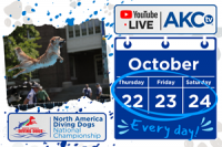 Dive Right in With the North America Diving Dogs National Championship