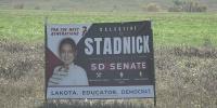Political Pulse: Democratic candidate Celestine Stadnick runs on criminal justice reform for District 27 Senate