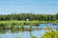 Africa’s Biodiversity: Building Prosperity Through Conservation and Community Participation