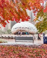 Chicago Named One of America's Cheapest Thanksgiving Getaways