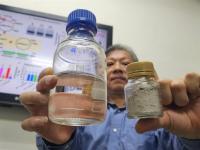 Researchers find ways to increase microalgae bioethanol feedstock