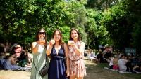 Summer events in New Zealand: 35 ways to fill your calendar