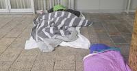 Canberra poverty at 25-year high as charities demand welfare boost and housing action
