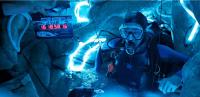 How ‘Whalefall’ Built Its Whale-Belly Survival Set Around Real Science
