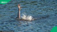 KwaMsane matriculant drowns at St Lucia beach, rescue teams continue search for teenager's body