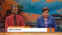 The Ibis In Focus: A Call To Protect Our Wildlife