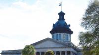 Lowcountry voters face 6 South Carolina House races over growth, schools and costs