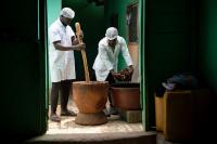 Traditional medicine, resilience and well-being at World Health Summit 2026