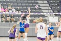 Lady Farmers sweep Wills Point