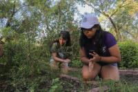 Environmental club keeps native plants thriving on campus