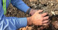 How a Family-Owned Business in the South End Turns Food Scraps Into Compost