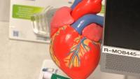 Researchers find link between gene variant and heart failure in people of African ancestry