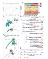 Haplotype-Resolved Cannabis Genome Reveals Hidden Allelic Drivers of Medicinal Compound Diversity