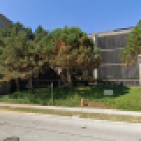 Invasive vines, diseased trees removed to improve campus ecosystem health