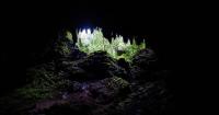 Rio Camuy Cave Park Reopening Plan Targets Investment