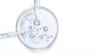 Scientist sacked before unfair dismissal cut-off wins tribunal claim