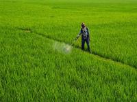 Shivraj Chouhan launches upgraded agri welfare portal for farmers