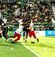 Football: Lobos slip, stumble and survive in Hawaii