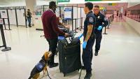 U.S. Customs And Border Protection Confiscates American Traveler's Phone Over Luggage Sticker At Boston Logan Airport