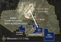 Blossom Gold Approved for Trading on OTCQX Best Market in the United States