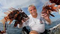 Florida divers remove record 36,187 invasive lionfish in statewide challenge