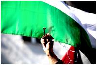 The UK Green Party’s Historic Anti-Zionist Motion
