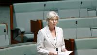 Winston Peters addresses attack on Australian MP Helen Haines: ‘Violence has absolutely no place in politics’