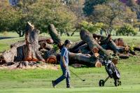Judge grills Trump officials over D.C. golf course overhaul