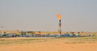 ‘Exceptionally severe’ oil well eruption in Niger raises fears for threatened desert wildlife