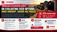 Nebraska Extension series to help cattle producers evaluate feed options, higher hay prices