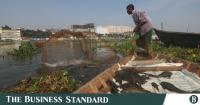 The fish nobody wants is taking over Dhaka’s rivers