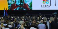 As Biodiversity Summit Begins, 'Systems That Sustain Life on Earth Are Under Threat'