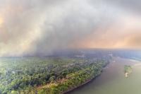 Political War on Social Media Fuels Deliberately Set Fires in the Amazon, Brazilian Environmental Agency Says