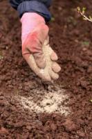 19 Fall Gardening Practices That Will Protect and Enrich Your Soil in Winter