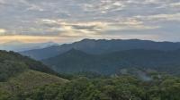 Mozambique Protects the ‘Butterfly Forest’ of Mount Mabu, Home to 200 Species