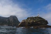 Alcatrazes Archipelago Reborn Ten Years After Becoming a Conservation Unit on Brazil's Coast
