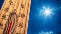 Extreme Heat Threatens Caribbean Health, Coral Reefs and Tourism, Dutch Researchers Warn