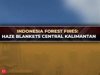 Forest fires continue to spread in Indonesia; drone visuals show haze covering buildings &amp; streets