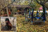 Russia kills Ukrainian 1-year-old in stroller during strike on park — as civilian deaths surge 85%
