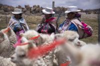 REMOTE Expedition brings travel designers from 11 countries to Peru’s Colca Valley