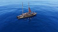 On The Up: Waka on last leg home to Ahuriri after navigating around South Pacific using only the stars